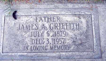 GRIFFITH, JAMES ALPHA - Sutter County, California | JAMES ALPHA GRIFFITH - California Gravestone Photos