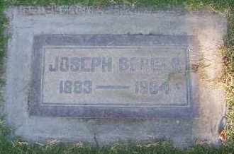SERGER, JOSEPH - Sutter County, California | JOSEPH SERGER - California Gravestone Photos
