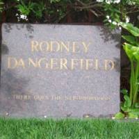 Rodney  (Actor) DANGERFIELD