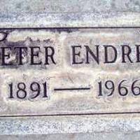 Peter ENDRES