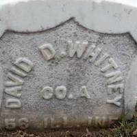 David D   [CW] WHITNEY